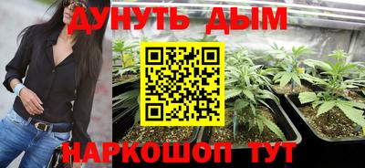 ALPHA PVP Ярославль