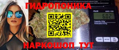 тгк Шахты