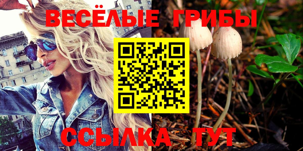 Галлюциногенные грибы Cubensis Белореченск
